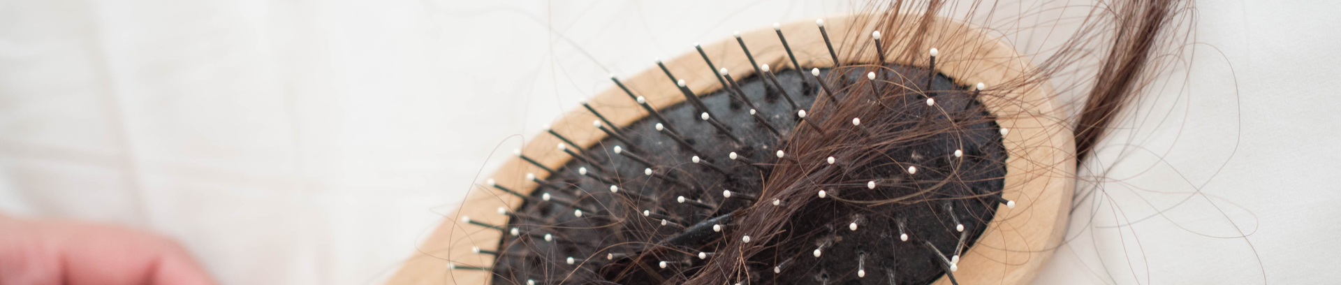 Haarasufall: Ein Büschel Haare, das in einer Bürste hängt